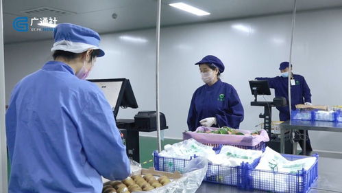 江蘇直通車 探訪南京豐浩華食品供應鏈管理有限公司的創(chuàng)新之路